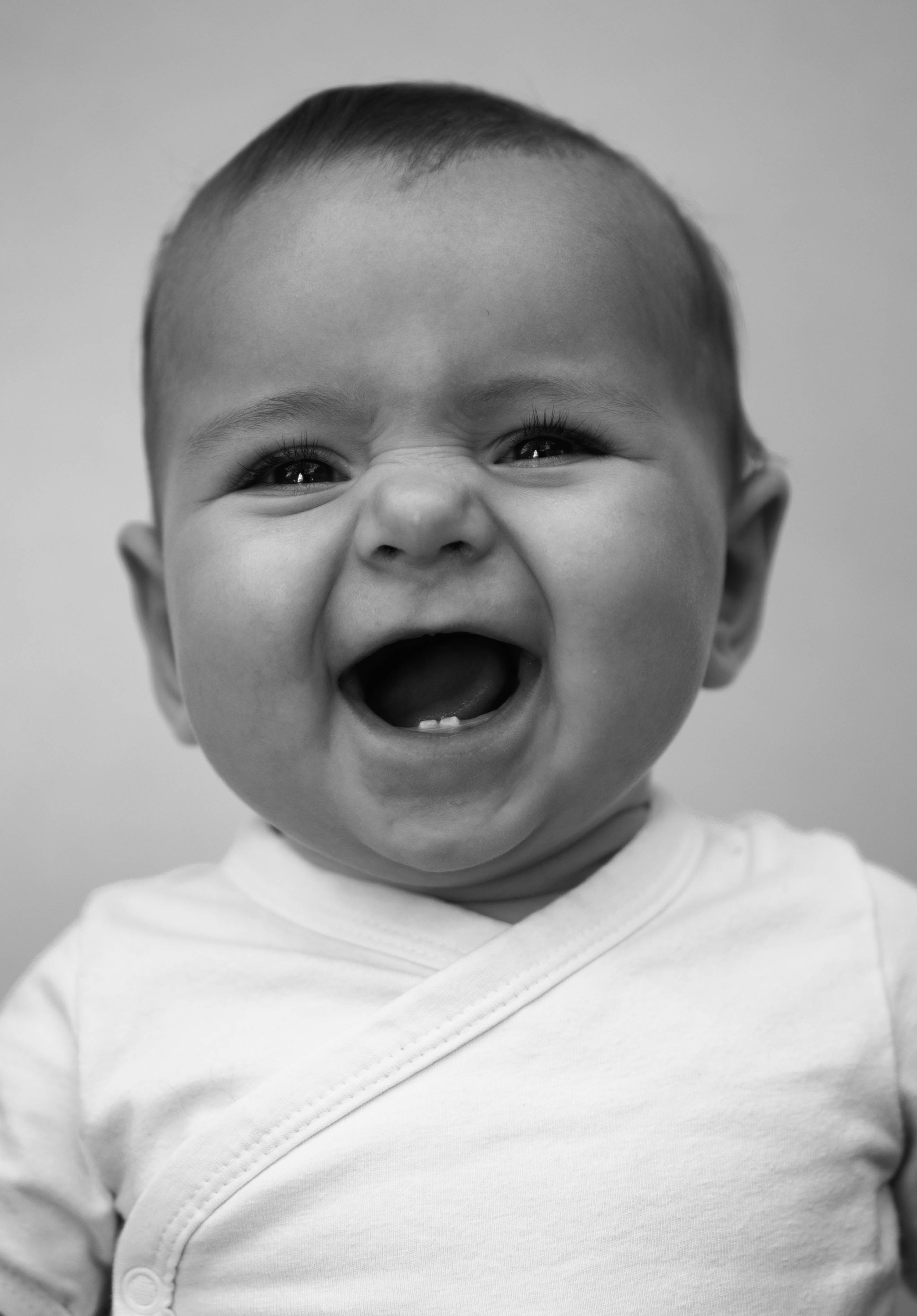 The portrait session